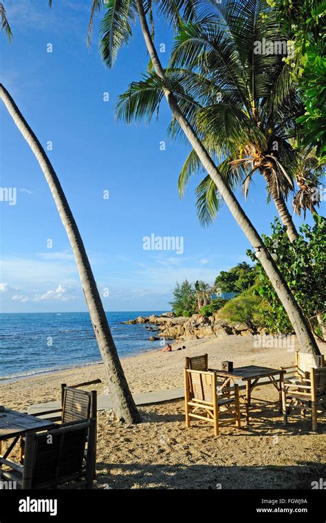 Bar On The Beach Haad Kruad Beach Koh Phangan Thailand Stock Photo