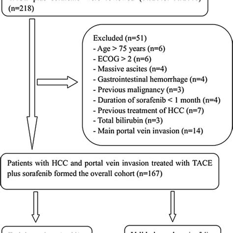 Flow Diagram Of Patient Selection Hcc Hepatocellular Carcinoma Ecog