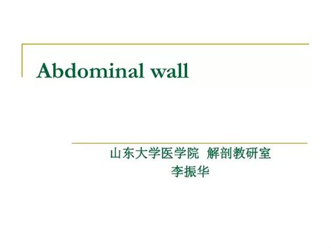 Ppt Abdominal Wall Powerpoint Presentation Free Download Id 295293