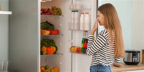 How To Fix Common Fridge Problems Troubleshooting Guide