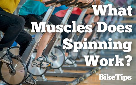 What Muscles Does Spinning Work The 8 Benefits Of Spin Class Workouts