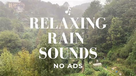 K Real Rain Ambient Sounds For Meditation Deep Sleep In Minutes