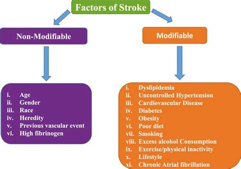 Stroke Vascular Dementia And Alzheimers Disease Molecular Links