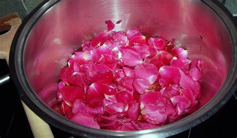 Une gelée de rose pour vivre la vie en rose