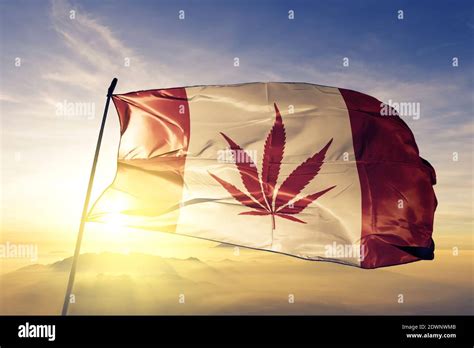 Canada Weed Flag Waving On The Top Sunrise Mist Fog Stock Photo Alamy