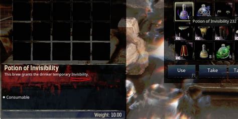 Spellchecker Potion Of Invisibility Pc Bug Reports Funcom Forums