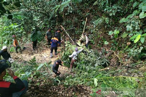 Bksda Pasang Box Trap Di Lokasi Penerkaman Harimau Di Lahat Antara News