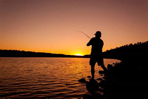 Fishing Stock Photos Pictures And Royalty Free Images Istock