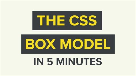 The CSS Box Model Explained In 5 Minutes YouTube