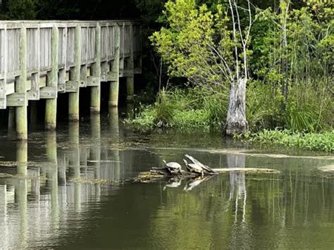 Best Wildlife Trails in Fort Eustis | AllTrails