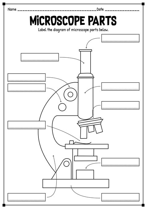 the microscope parts diagram is shown in black and white, with labels ...