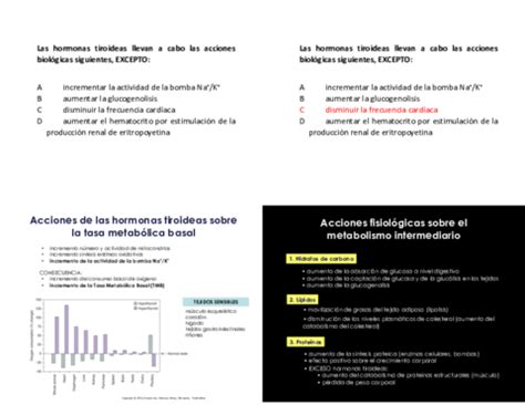 Fisiomédica concepto y apuntes relacionados Wuolah