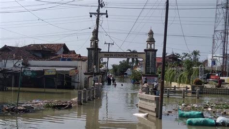 Sejumlah Korban Banjir Demak Kembali Ke Rumah Pupr Masih Lakukan