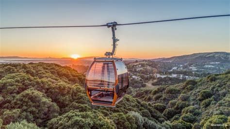 5 Fascinating Facts about the Oakland Zoo Gondola