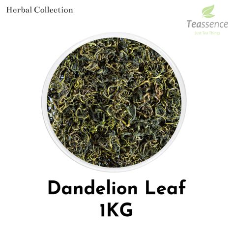 Jual Dandelion Leaf Daun Dandelion Dandelion Leaf Tea Kg Shopee