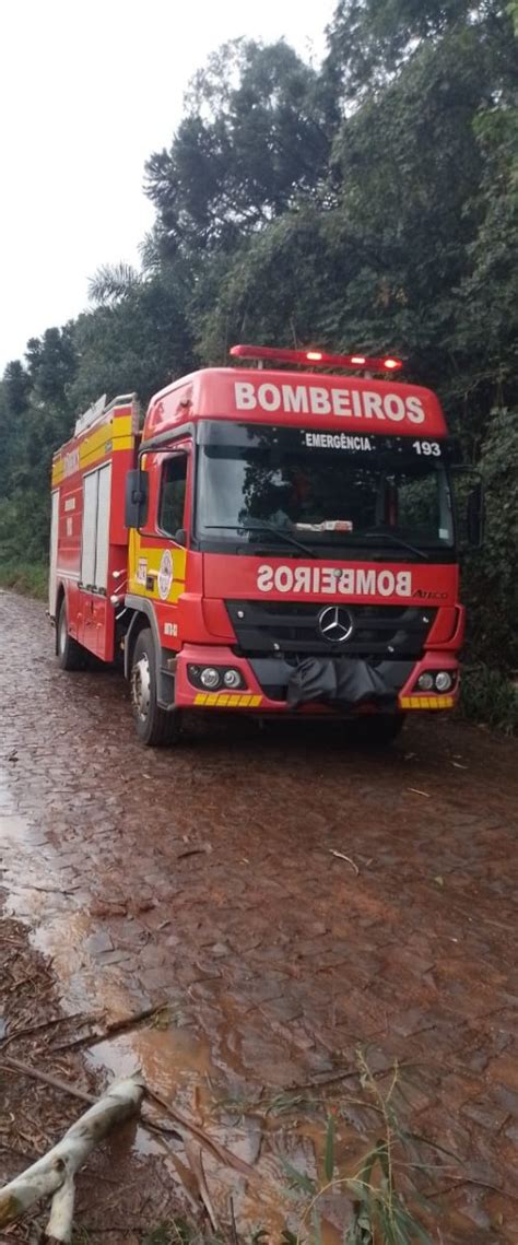 Motorista morre após árvore cair sobre veículo no Oeste de SC