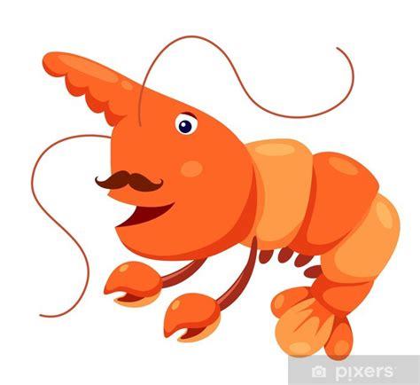 Poster Cute shrimp vector - PIXERS.UK