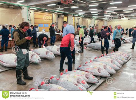 Asta Famosa Del Tonno Al Mercato Ittico Di Tsukiji Fotografia Stock