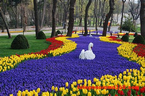 Festival Tulip Di Istanbul Turki Tour Ke Turki 2024