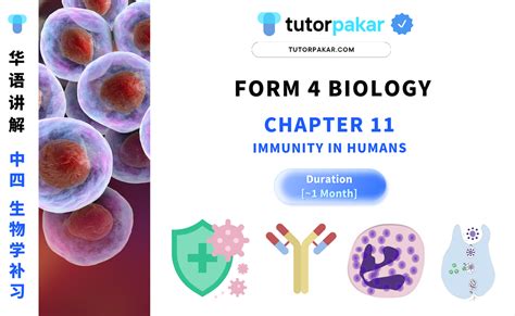 Form 4 Biology Chapter 11 中四 生物学 【单元十一】 Tutor Pakar 专科补习