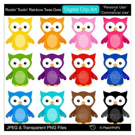 Colorful Owl Clip Art