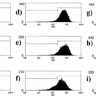 Antisense Effects On P Glycoprotein Expression In Nih T Mdr Cells