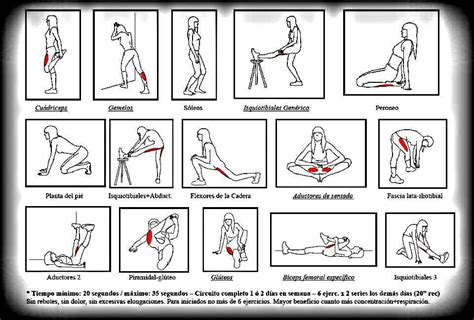 Tabla De Estiramientos