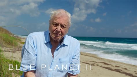 A Message From Sir David Attenborough Blue Planet II Episode 7 BBC