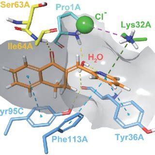 Interactions Between The Active Site Residues And Compound As It