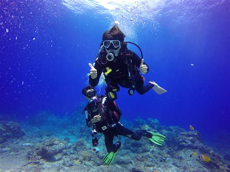 Divers Underwater Image Free Stock Photo Public Domain Photo Cc0