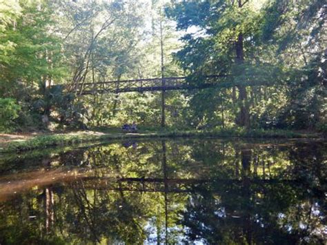 Ravine Gardens State Park, North FL Biking. E-Z Map, Photos.