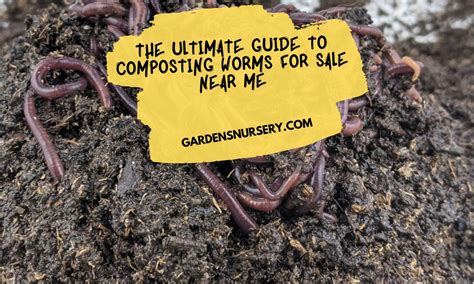 The Ultimate Guide To Composting Worms For Sale Near Me