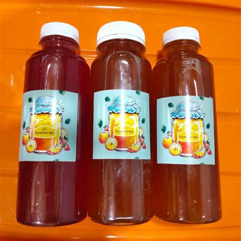 Jual KOMBUCHA MINUMAN PROBIOTIK TEH FERMENTASI 250ML HOME MADE 100