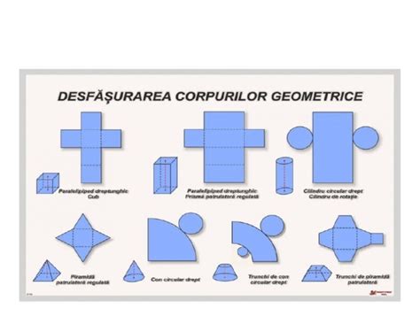 Desfasurarea Corpurilor Pdf