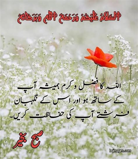 30 Good Morning Wishes In Urdu Images