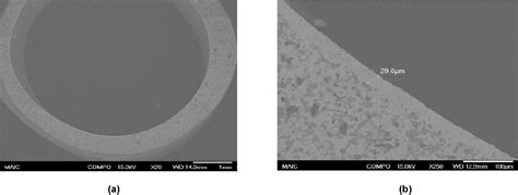 Figure 1 From A Study Of High Temperature Mixed Ionic Electronic