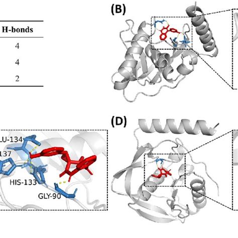 Molecular Docking Of Compounds And On The Pdf Of V Vulnificus