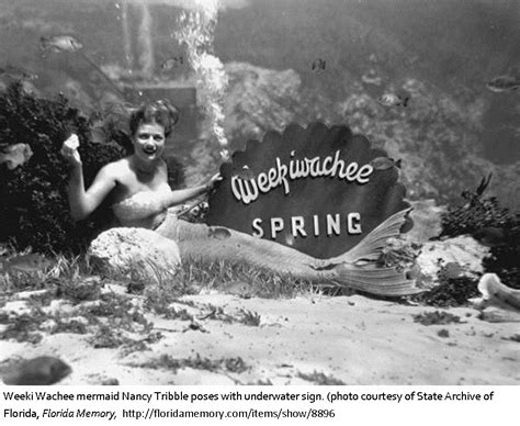 First Mermaid Show At Weeki Wachee Springs Florida Historical Society