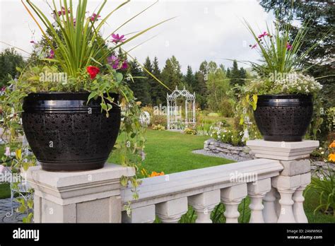 Ceramic Planters Hi Res Stock Photography And Images Alamy