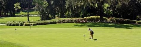 Innisbrook Resort And Golf Club The Island All Square Golf