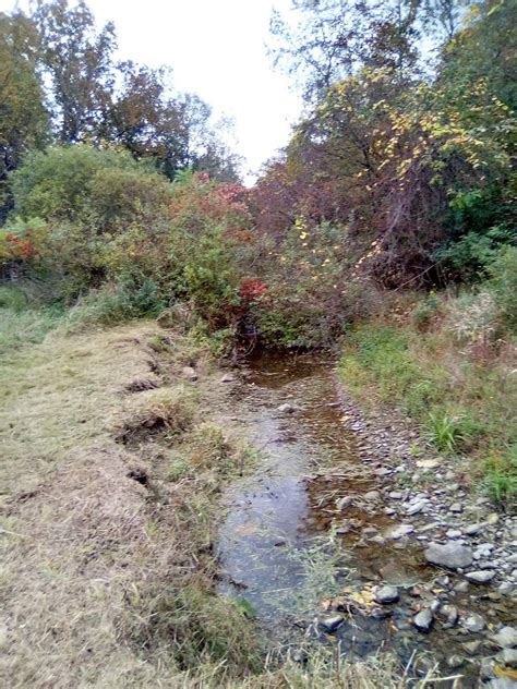 Buy and Sell in Erie, Pennsylvania | Facebook Marketplace