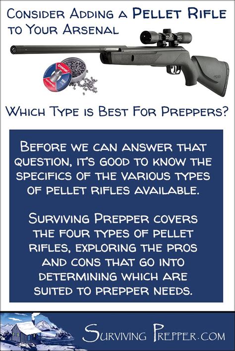 Surviving Prepper Covers The Four Types Of Pellet Rifles And Which