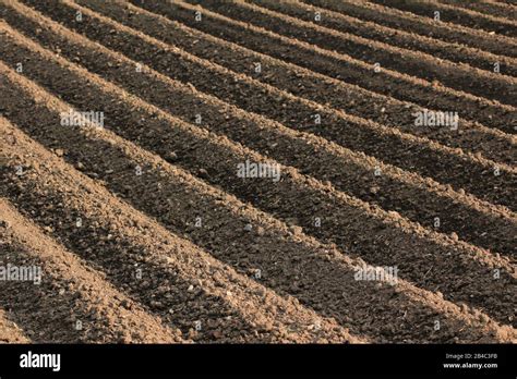 Fertile soil hi-res stock photography and images - Alamy