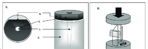 A Schematic Representation Of The Specimen Preparation For Shear Bond