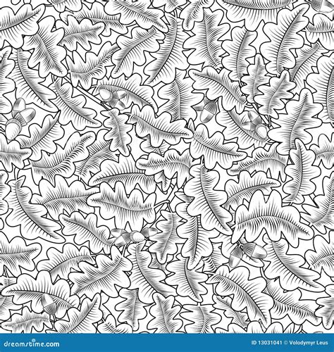 橡子无缝叶子的橡木 向量例证 插画 包括有 植物群 艺术 刻记 背包 要素 片段 例证 装饰 13031041