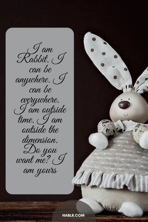 25 Happy Bunny Quotes that are Cute and Cuddly - Hablr