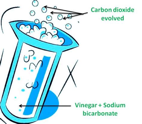 Changes Around Us Cbse Notes For Class 6 Science