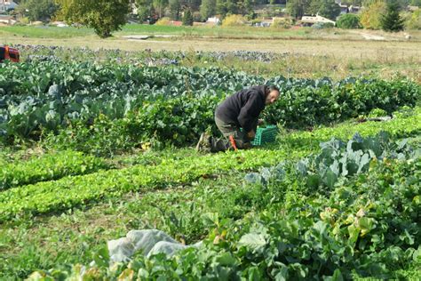 BEAUMONT LES VALENCE Une formation au maraîchage bio