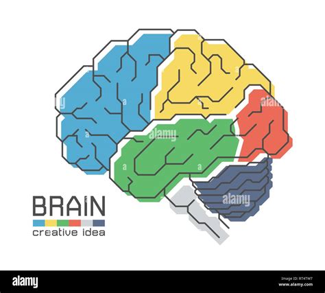 L anatomie du cerveau avec télévision couleur et design contours coup