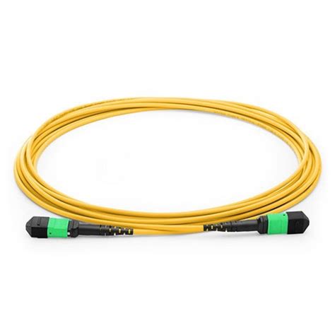 10m 33ft Mtp Female To Mtp Female 12 Fibers Os2 9125 Single Mode Trunk Cable Type B Elite